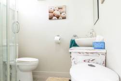Bathroom at Whitby Studio Mairangi Bay.  Shower, toilet, basin plus basic amenities.