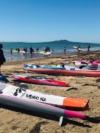Activity At Mairangi Bay, Beach With Lots Of Kayaks Sitting On The Sand.